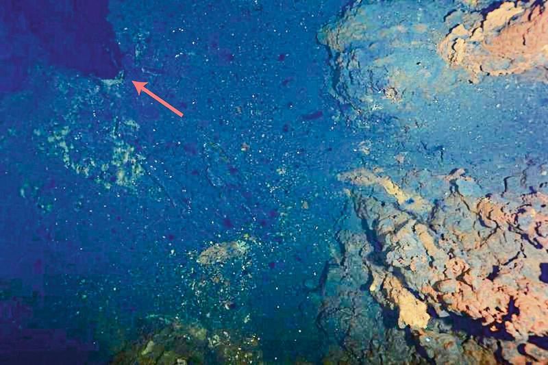 Die hydrothermalen Schlote von Aurora am Gakkel-Rücken in der zentralen Arktis. Ein Schnappschuss eines hydrothermalen Schlots (oben links, gekennzeichnet durch den roten Pfeil) und von Schornsteinen (gelb-orangefarbene Strukturen auf der rechten Seite), aufgenommen vom Unterwasser-Kamerasystem Ofos. (Bild: Cruise report)