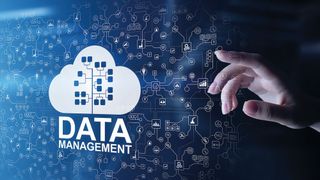 0100903752 (© WrightStudio – stock.adobe.com)