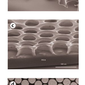Abb. 2 a) – b): Herstellung eines Mikrosiebes über Schwimmgießen, a) nach Aushärten des Öls, vor dem Entfernen der Partikel,  b) nach Entfernen der Partikel;  c) – d) über Schwimmgießen hergestellte Mikrosiebe mit sub-mikrometrischen Lochdurchmessern.