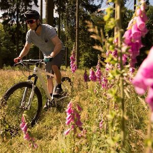 (Möve Bikes / Christoph Laue)