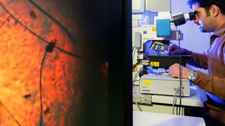 Vahid Nozari von der Universität Jena untersucht am Mikroskop das synthetische Glas, das aus einem MOF-Material besteht. (Jens Meyer/Universität Jena)