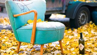 Herbstlaub wird bisher kaum energetisch genutzt. (Bild: gemeinfrei, Charlotte Harrison)