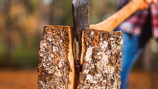 Statt mechanische Kraft nutzen Forscher flüssige Salze, um Holzfasern aufzuschließen (Symbolbild). (Bild: gemeinfrei, Abby Savage)