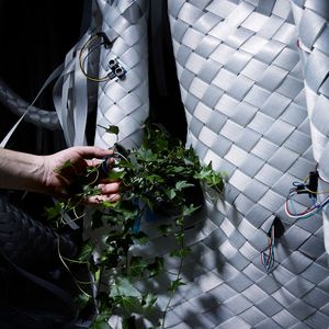 (Projekt flora robotica, Anders Ingvartsen, CITA)