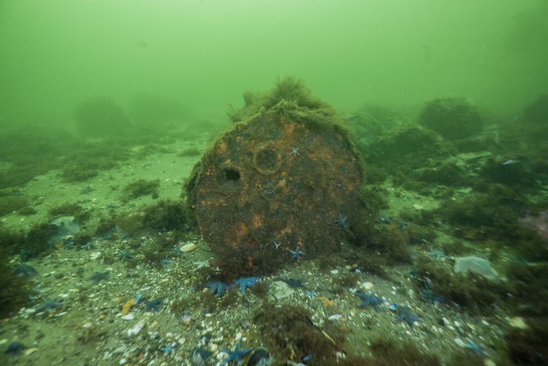 So setzen sich auch die Vereinten Nationen für gesunde Weltmeere ein. So wurde vergangenes Jahr die sogenannte Ocean Decade ausgerufen. Hierbei geht es darum, den Kreislauf des Rückgangs der Meeresgesundheit umzukehren und Meeresakteure weltweit hinter einem gemeinsamen Rahmen zu versammeln, um verbesserte Bedingungen für eine nachhaltige Entwicklung des Ozeans sicherzustellen. (Bild: Jana Ulrich)