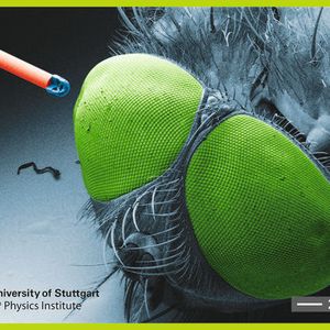 (Universität Stuttgart)