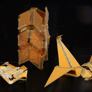 Ingenieure in Princeton haben weiche und starre Hybridroboter entworfen und gebaut, die sich ohne Motoren oder externe pneumatische Steuerungen bewegen und verformen können. (Bild: Forscherteam Princeton University)