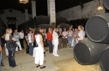 Die Geheimnisse des Sherry, der auf spanisch „Jerez“ heißt, lernten die Unternehmerinnen bei einem Rundgang durch die traditionsreiche Bodega Gonzales Byass in Jerez kennen. (Archiv: Vogel Business Media)