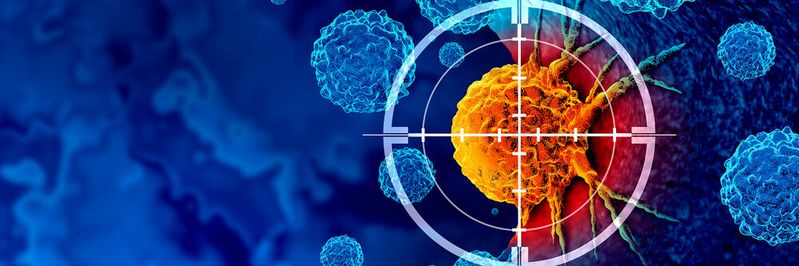 Der Onkologische Versorgungsatlas gibt Überblick über das sektorenübergreifende onkologische Versorgungsnetzwerk in Rheinland-Pfalz.(Bild:  freshidea – stock.adobe.com)