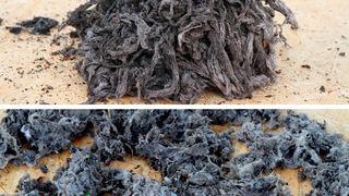 Verzopfungen vor und nach der Zerkleinerung (Vogelsang)