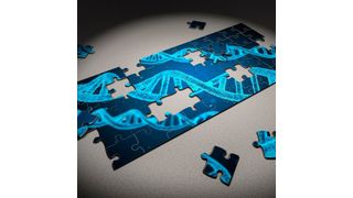 Although scientists have known about these mRNA modification for more than 45 years, its effect on the function of mRNA has not been well understood. (Public Domain)