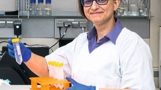 Dr. Peggy Stock bei ihrer Arbeit im Labor (Universität Leipzig)