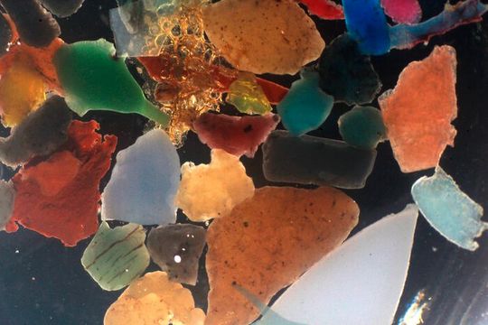 Microplastic particles of about 2 mm big Microplastic particles of about 2 mm big