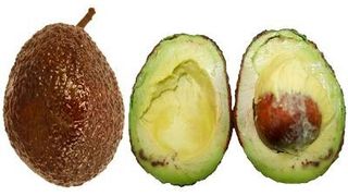 A chitosan-based coating (used on the fruits shown here) and a prediction technique could improve the quality of avocados. (Source: Adapted from ACS Food Science & Technology 2023, DOI: 10.1021/acsfoodscitech.3c00084)