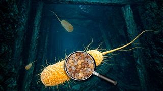 Erstaunliche Winzlinge! Auf dieser per KI bearbeiteten Illustration sieht man, wie ein Bakterium verschiedene Nanopartikel in seiner Zellmembran eingelagert hat. Die gute Nachricht ist, dass Mikroben so selbst uranverseuchte Milieus sozusagen dekontaminieren können. Hier mehr dazu ... (Bild: HZDR / J. Raff)