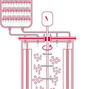 (Bild: © Dipl. Ing. Marc Gauert/Brain und Prof. Dr. Johannes Gescher/KIT; Archiv Brain)