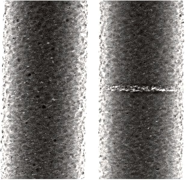 2D-Bild der Referenzprobe ohne Manipulation, rechts: 2D-Bild der präparierten Probe mit sichtbarem Porenbereich. (Bild: Visiconsult)