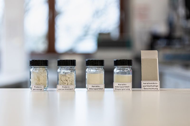 Aus gereinigten Hühnerfedern werden über mehrere Zwischenschritte Keratin-Mikropartikel hergestellt, die dann als funktionelle Füllstoffe in Beschichtungen eingesetzt werden können.  (Bild: Fraunhofer IAP)