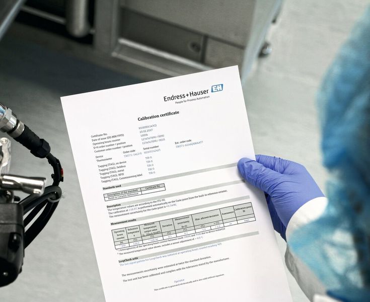 Das iTherm Trustsens TM37x von Endress+Hauser ist ein Thermometer mit automatischer Kalibrierfunktion. In seinen Messeinsatz ist zusätzlich zum Widerstandssensor ein ferroelektrisches Referenzelement mit bekannter Curie-Temperatur als Temperaturnormal integriert.  (Endress+Hauser)