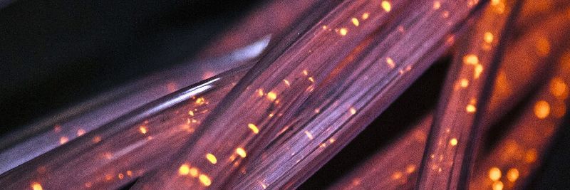 Der Internet Performance Report 2020 belegt eine sprunghafte Zunahme an Cloud-Ausfällen in Folge einer ebenso sprunghaft gestiegenen Nutzung von Home-Office-Lösungen.(Bild:  gemeinfrei© Daniel Dino-Slofer /  Pixabay)