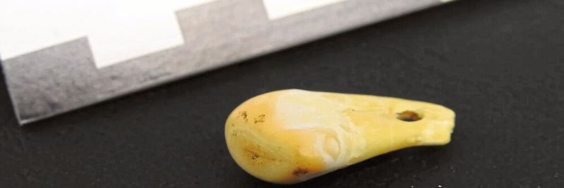 Durchbohrter Hirschzahn aus der Denisova-Höhle in Südsibirien. Den Forschenden ist es gelungen, von dessen Oberfläche uralte menschliche DNA zu gewinnen.