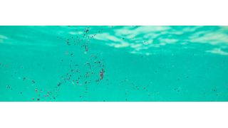 Mikroplastik – kleine Partikel, großes Problem (©dottedyeti - stock.adobe.com)