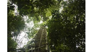 Ein 80 Meter hoher Messturm nahe der Forschungsstation ATTO im brasilianischen Regenwald, 150 Kilometer nordöstlich von Manaus. In 23 Metern Höhe, direkt über dem Kronendach, entnahm das Forschungsteam alle eineinhalb bis drei Stunden Luftproben. (Bild: © Dom Jack, Max-Planck-Institut für Chemie)