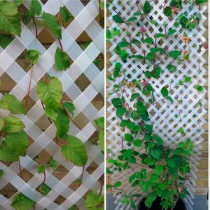 (Projekt flora robotica)