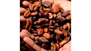 Der Schokoladenhersteller Ritter Sport ist nun klimaneutral. (Bild: gemeinfrei)