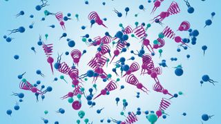 Lipide sind Bausteine lebender Zellen und für die Herstellung von Arzneimitteln auf mRNA-Basis von entscheidender Bedeutung.  (Bild: Evonik)