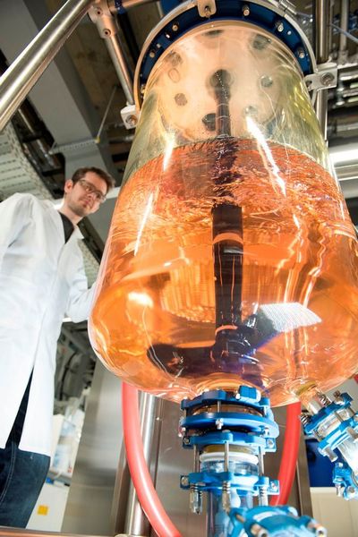 Rührreaktor für das Upscaling von Laborsynthesen bis in den 100-Liter-Pilotmaßstab. Ausgerüstet mit In-situ-Analytik für Partikelgrößenmessung zur kontinuierlichen Prozesskontrolle. (Bild: K. Dobberke für Fraunhofer ISC)