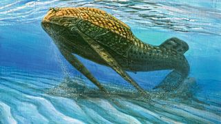 Der Panzerfisch „Bothriolepis trautscholdi“ lebte vor rund 380 Millionen Jahren. (Bild: dontmesswithdinosaur.com, Brian Engh)