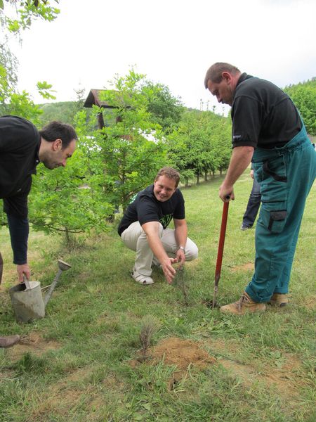Baumpflanzaktion im Ždánický-Wald anlässlich des Green Day. (Bild: EBM-Papst)