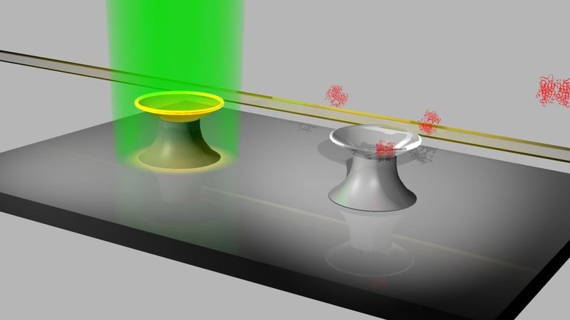 Schema eines Lab-on-Chip-Systems mit Mikrokelch-Laser, der optisch mit einem grünen Laser gepumpt wird (links); Mikrokelch-Resonator als Detektor für Biomoleküle (rechts). (Schematische Darstellung: Institut für Mikrostrukturtechnik, YIG Mappes) (Archiv: Vogel Business Media)