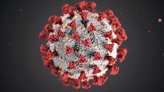 Das SARS-CoV-2-Virus könnte in Zukunft vielleicht über einen neuen optischen Biosensor nachgewiesen werden (Symbolbild). Das SARS-CoV-2-Virus könnte in Zukunft vielleicht über einen neuen optischen Biosensor nachgewiesen werden (Symbolbild).