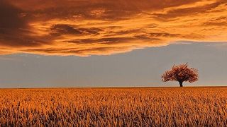 Extreme Networks hat sich nun mit der eigenen Technik vollständig in die Cloud transferiert.  (Bild: gemeinfrei© bessi)