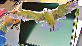 Komplexe Daten als Hologramm darstellen: Die Technik soll sich mit einer Art Baukastensystem realisieren lassen. (Wammes & Partner)