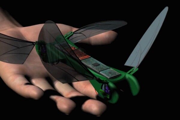 Die autonome Mikrodrohne Dargonfly wiegt gerade einmal 25 Gramm (TechJect)