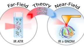 Um eine Brücke zwischen der herkömmlichen Fernfeld- und der nanoskaligen Nahfeld-Infrarotspektroskopie zu schlagen, kombinierte das Team die experimentellen Daten mit dem theoretischen finite-Dipol-Modell, was beschreibt, was auf der Nanoskala geschieht. (Bild: HZB)
