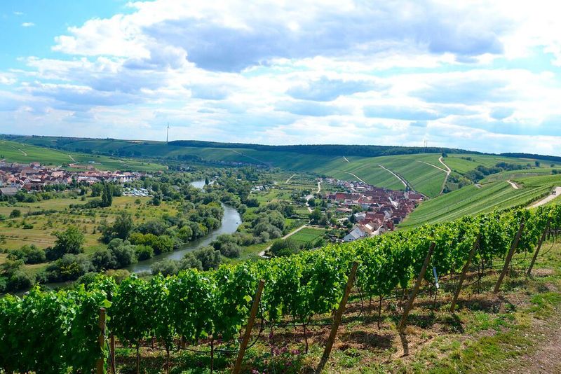 Am anderen Mainufer lockte das Café auf der Vogelsburg die Biker an. Der Ausblick auf den Fluss und die Weinberge war atemberaubend. (Dotzler, Dominsky, Lacher, Maderner, Michel, Rosenow, Schweitzer/»kfz-betrieb“)