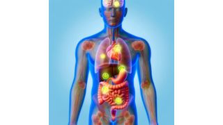 By identifying which proteins are involved in the body’s response, the researchers could then predict potential health outcomes of prolonged fasting by integrating genetic information from large-scale studies.  (Source: AI generated/ Dall-E)