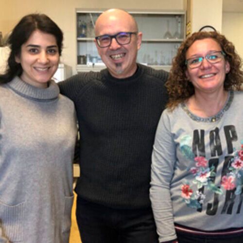 IBB-UAB researchers who developed the OligoBinders Molood Behbahanipour (left), Salvador Ventura and Susanna Navarro. IBB-UAB researchers who developed the OligoBinders Molood Behbahanipour (left), Salvador Ventura and Susanna Navarro.