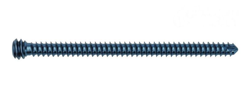 Je nach Einsatz gibt es die Implantatschrauben in selbstschneidender, selbstbohrender und rückschneidender Form. Im Bild eine Kortikalisschraube.  (Königsee)