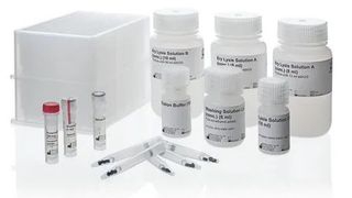 produktnews (BRAND GMBH + CO KG)