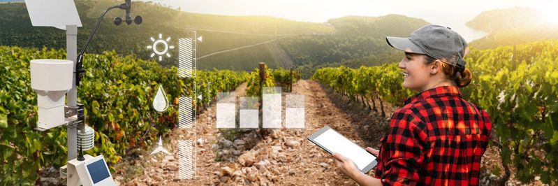 KI könnte in der Landwirtschaft dabei unterstützen, nachhaltiger zu arbeiten.(Bild:  Adobe Stock)