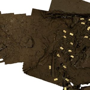 (Bild: Ashley Kruger)