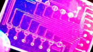 Vorsichtig hält Professor Peter Ertl den winzigen Bio-Chip zwischen zwei Fingern, den er an der TU Wien entwickelt hat. Die integrierten Strukturen, so unscheinbar sie auch wirken, können künftig Messdaten ermitteln, für die bisher ein Labor mit hochqualifiziertem Personal benötigt wird (TU Wien)