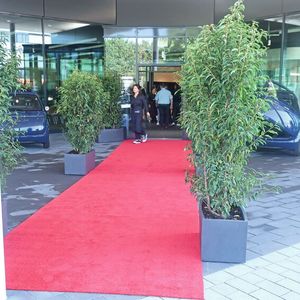 Für die Gäste war zur Eröffnung der rote Teppich ausgerollt.(Bild:  Grimm – VCG)