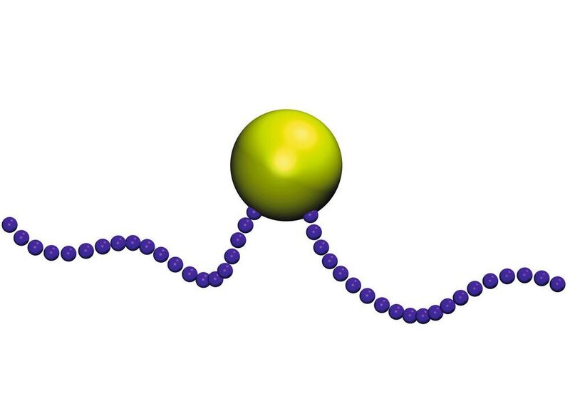 Computersimulation des Göttinger Teams: ein schwimmendes Bakterium mit nach vorn und nach hinten gerichteten Geißeln. (Sarah Mohammadinejed, Universität Göttingen)