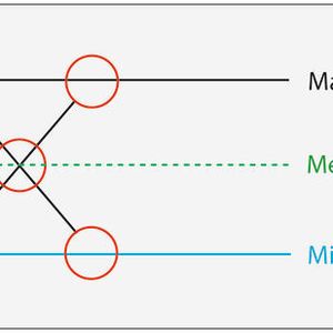 Wird gerne „vergessen“- die Meso-Ebene.